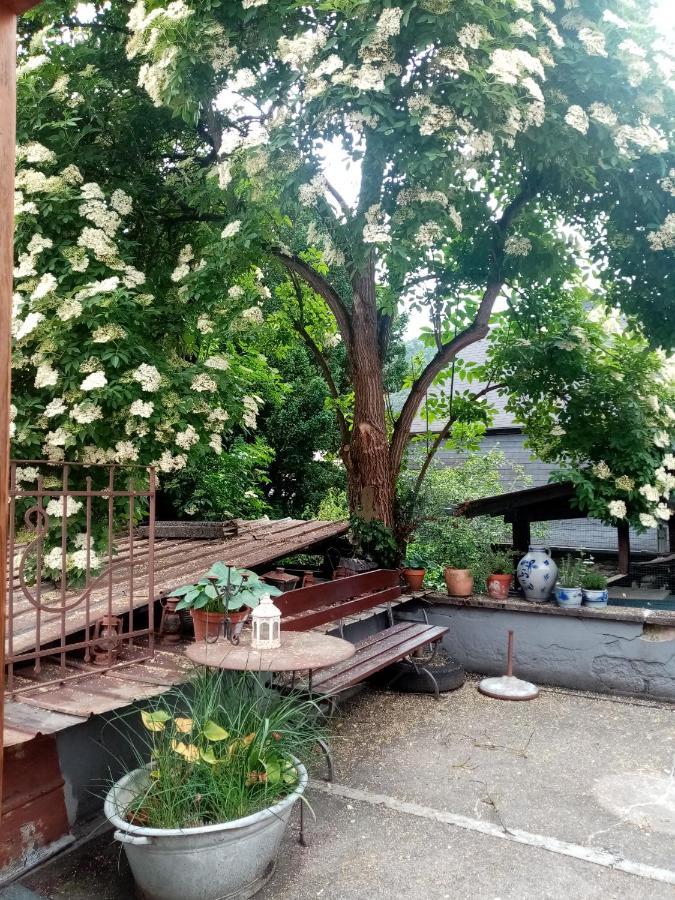 Moselhaus Tante Emma Villa Punderich Bagian luar foto